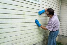 Affordable Siding Repair and Maintenance Services in Dike, IA